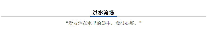 【乳報·聚焦】“豫”難而上的中原牛人“太中了”！