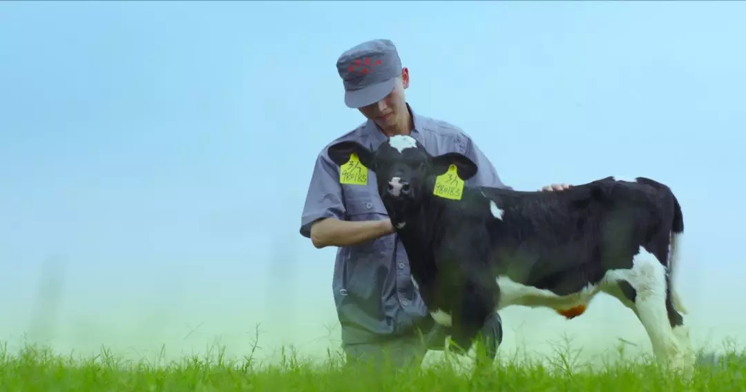 喜報 | 國家市場監管總局抽檢，花花牛等112家企業乳品抽檢全部合格