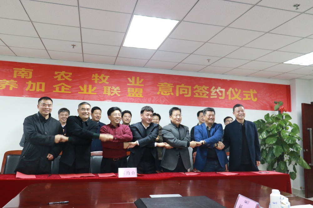 涉農(nóng)企業(yè)強(qiáng)強(qiáng)聯(lián)合，“抱團(tuán)取暖”共迎企業(yè)發(fā)展的春天