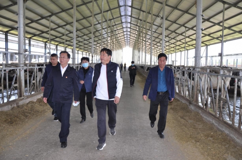 商丘市委常委、宣傳部部長王全周一行蒞臨睢縣瑞亞牧業有限公司調研